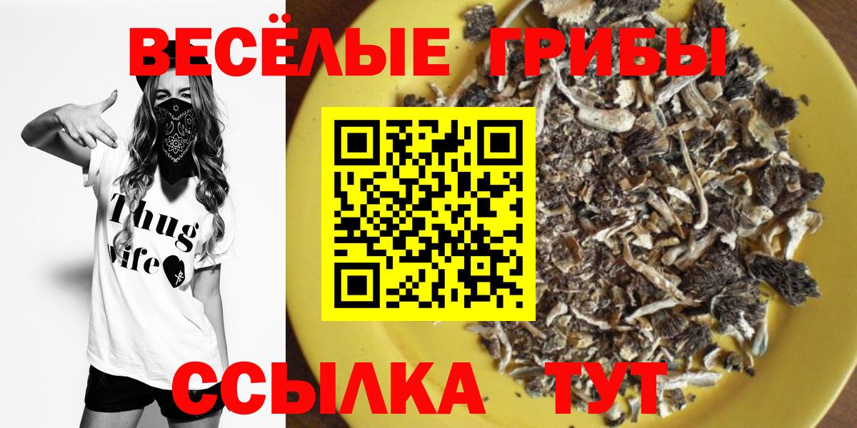 Галлюциногенные грибы ЛСД Изобильный