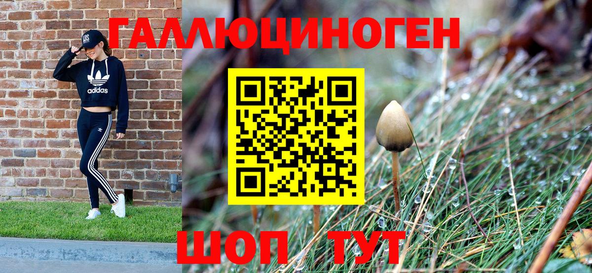 Изобильный  закладки  Вход с VPN  Галлюциногенные грибы Cubensis 